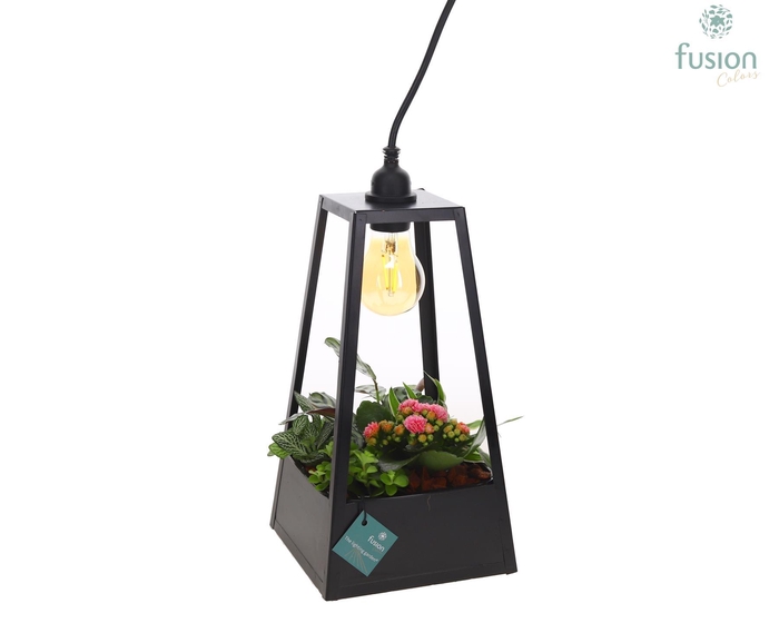 <h4>Lantaarn metaal zwart met verlichting met arrangement</h4>