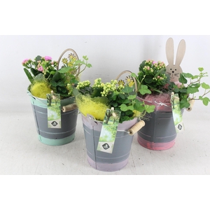 arr2 JS - Zink emmer mix x6 - roze/geel