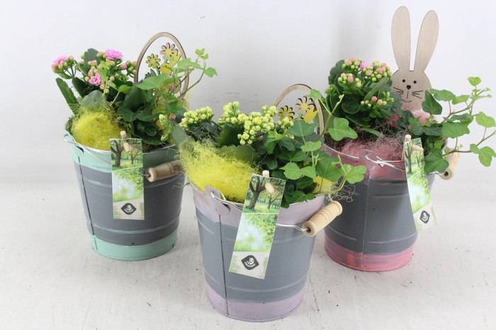 <h4>arr2 JS - Zink emmer mix x6 - roze/geel</h4>