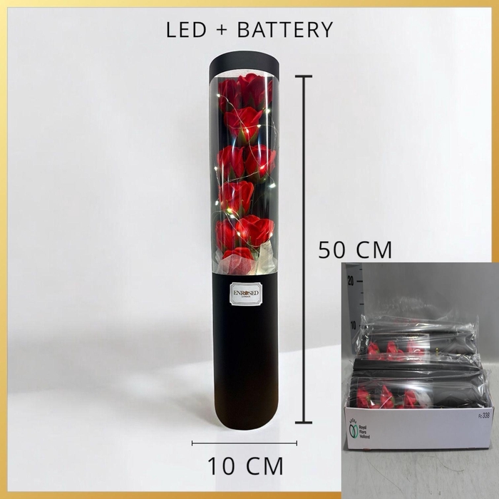 <h4>HUIS EN TUINDECO H%</h4>