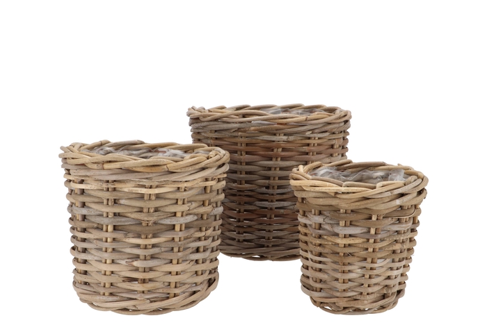 Rattan Ivy Natural Cilinder Set 3 17x17/23x20/27x23cm