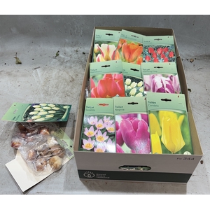 BLOEMBOL TULIPA
