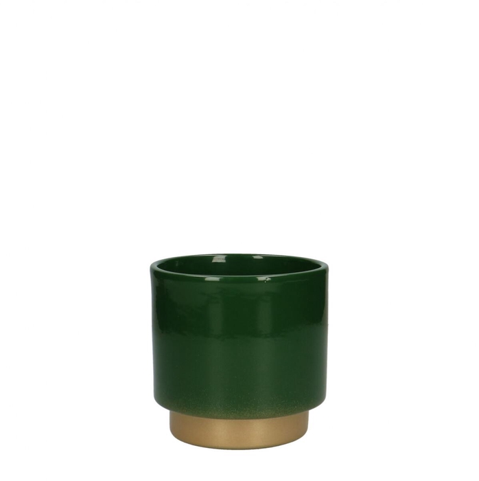<h4>Promo Phal.pot Varedo d10.5*10.5cm</h4>