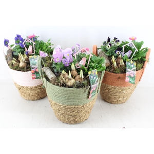 arr4 Outdoor MB - Duo mand colour mix x2