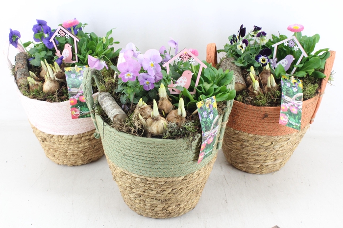 <h4>arr4 Outdoor MB - Duo mand colour mix x2</h4>