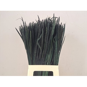 DF Carmen Grass Dark Green 50g