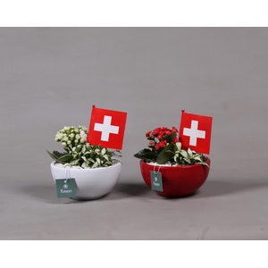 Keramiek pot met arrangement en de vlag van Zwitserland