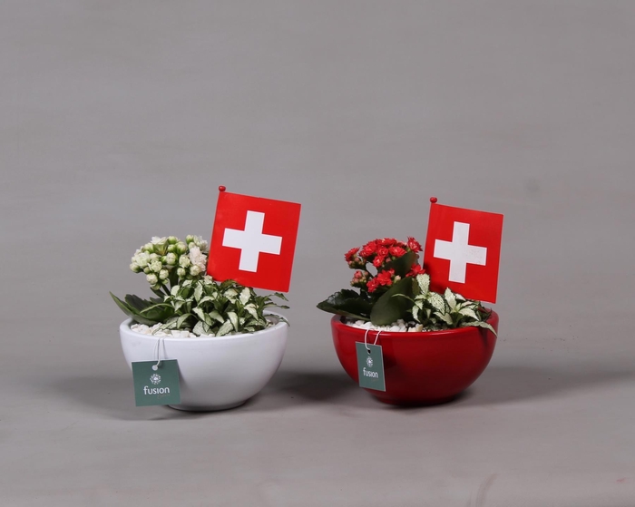 <h4>Keramiek pot met arrangement en de vlag van Zwitserland</h4>