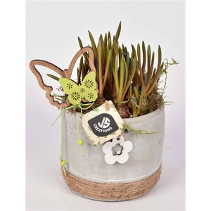 Cement pot met bloem gy 12cm