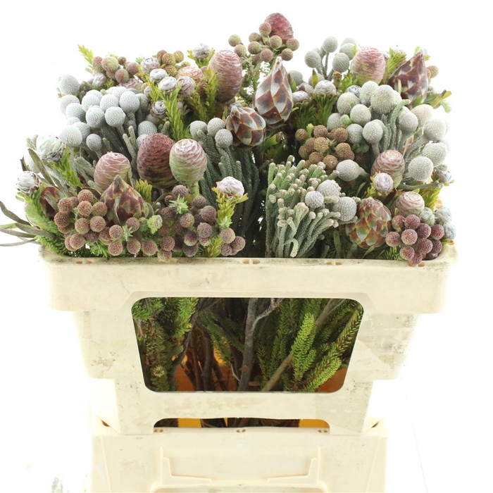 <h4>Kaaps Bouquet Cone Mix Small</h4>