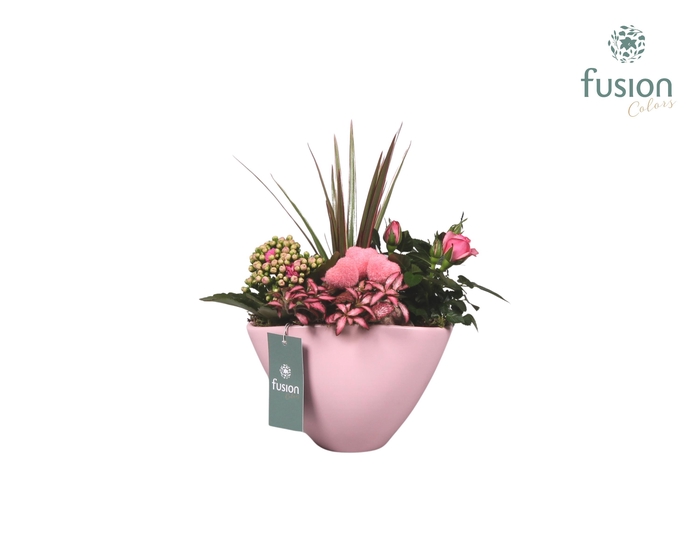 <h4>Keramiek pot ovaal roze met lovearrangement</h4>