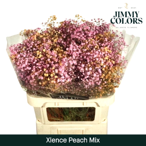 <h4>Gyps Xlence L80 Peach Mix</h4>