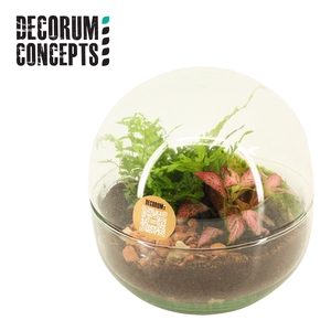 Terrarium Earth small (Decorum concepts)
