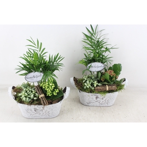 arr2 TD - Zink ovaal - roze/wit