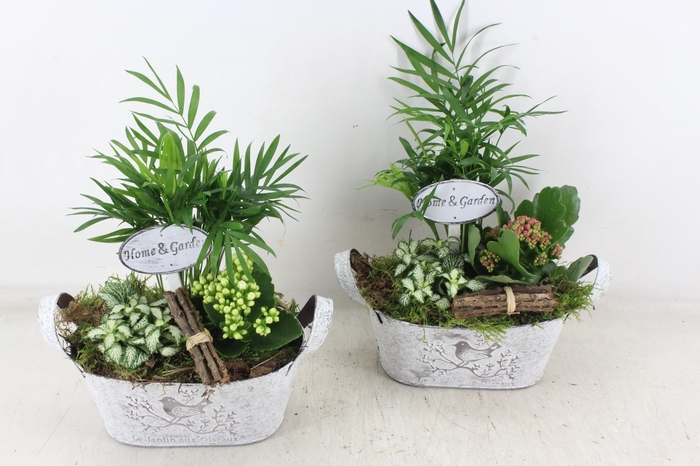 <h4>arr2 TD - Zink ovaal - roze/wit</h4>