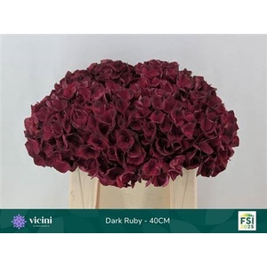 Hydr M Mag Dark Ruby Coral