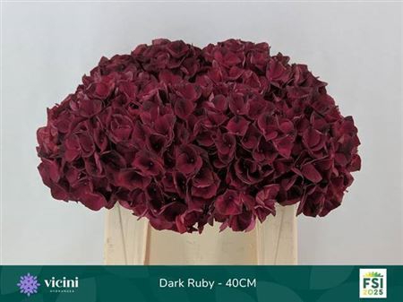 <h4>Hydr M Mag Dark Ruby Coral</h4>
