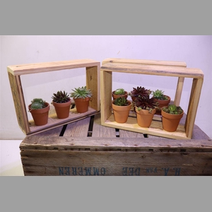 Arr Semp Gem In Houten Venster + Terra Cotta