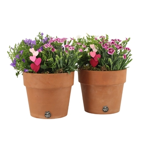 21994: Love outdoor arrangement