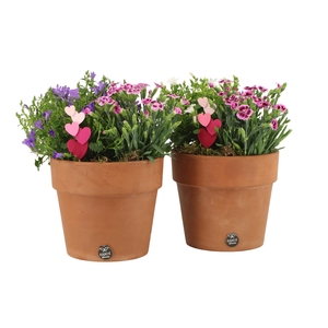 21994: Love outdoor arrangement