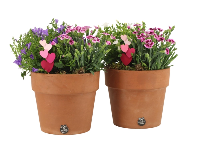 <h4>21994: Love outdoor arrangement</h4>