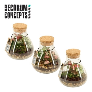 Terrarium Erlenmeyer Nano (Decorum concepts)