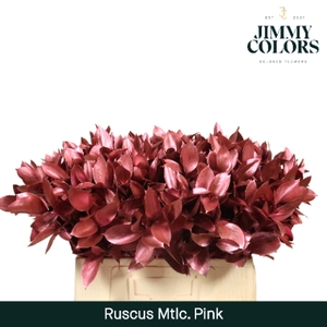 Ruscus L60 Mtlc. Roze