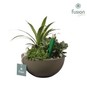 kermamiek moonschaal met