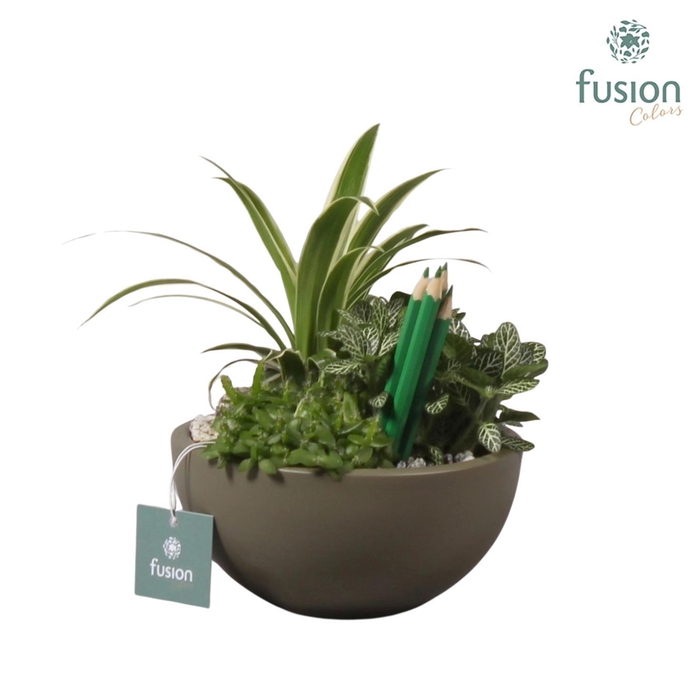 <h4>kermamiek moonschaal met</h4>