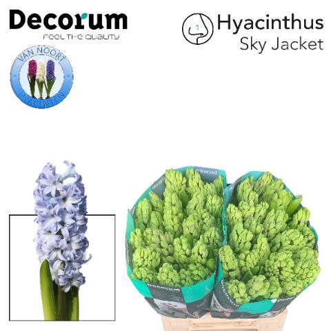 <h4>Hyac Sky Jacket 2x25</h4>