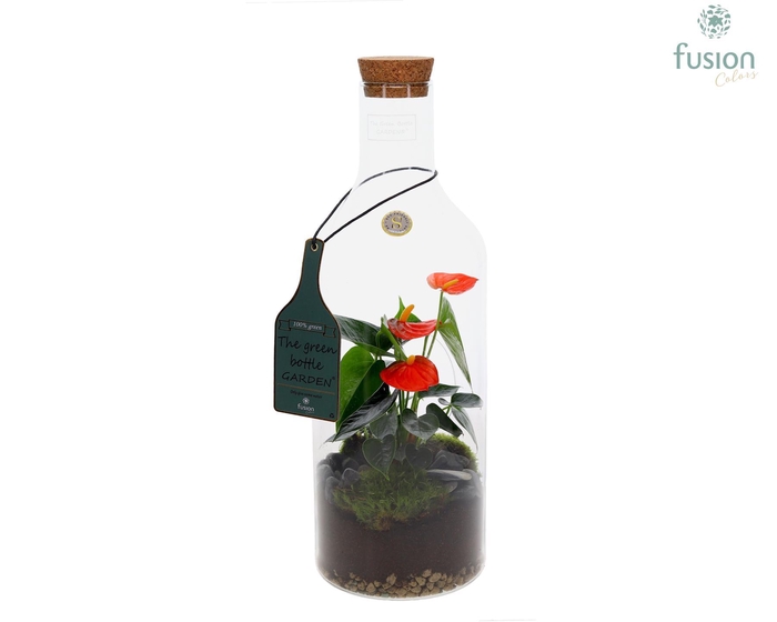 <h4>Green Bottle Fles Medium met Anthurium</h4>
