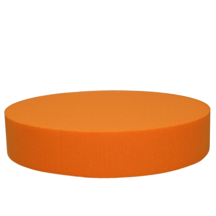 <h4>Oasis Kleur Cake d25*5cm</h4>