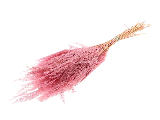 Bunch Helecho Pres. 3st 60/80g L70