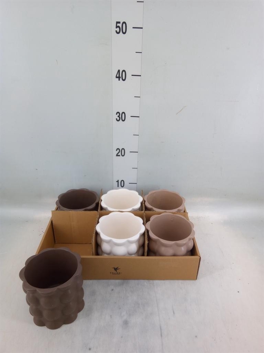 <h4>Pot   ...Keramische H%</h4>