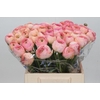 Ranunculus Clooney Venere Super