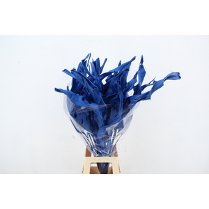 DF Strelitzia Leaf Blue