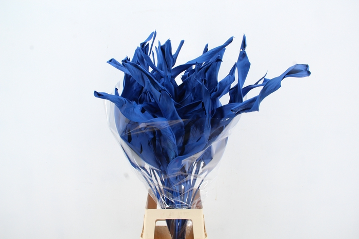 DF Strelitzia Leaf Blue