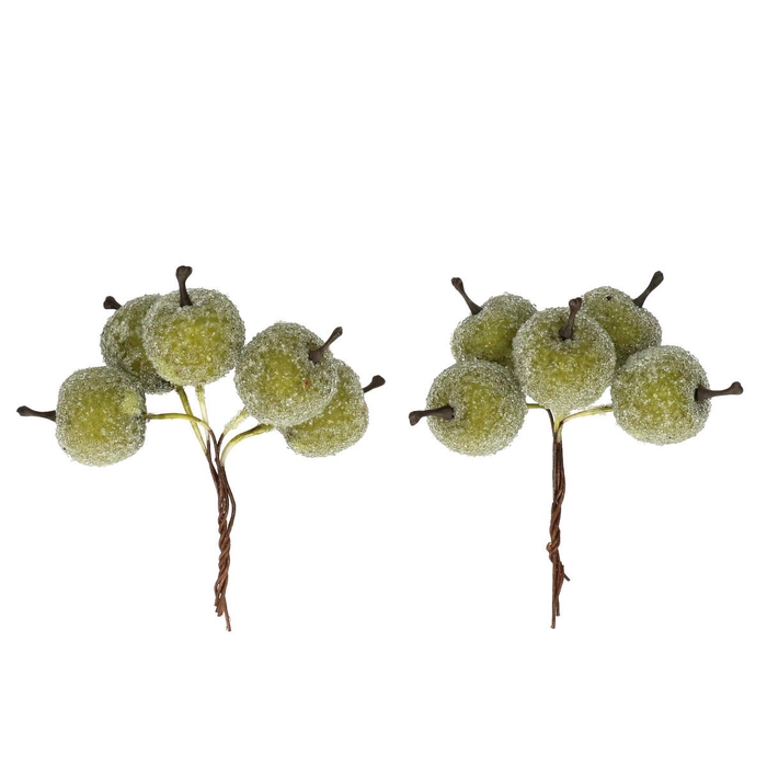 <h4>Herfst Appel frosted/draad 2.5cm x20</h4>