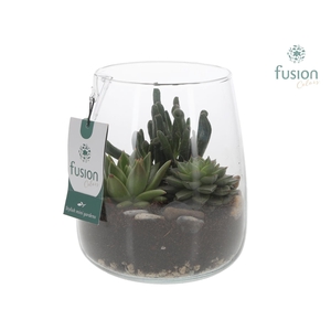 Glazen vaas Alzada met succulenten