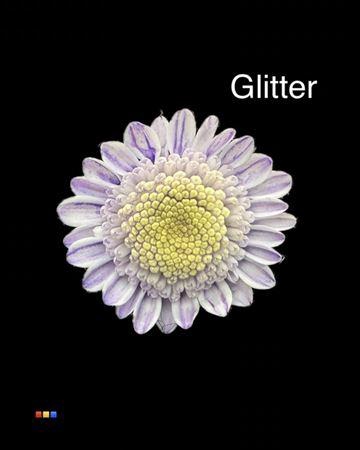 <h4>Chr T Stallion Dusty Pastel Milka + Glit Bio</h4>