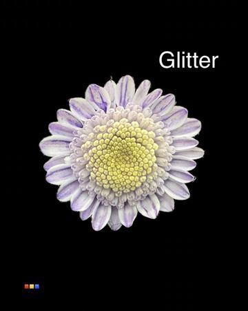 <h4>Chr T Stallion Dusty Pastel Milka + Glit Bio</h4>