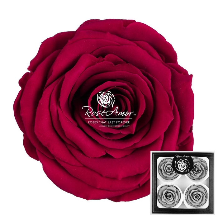 <h4>Bellisima Pin05</h4>