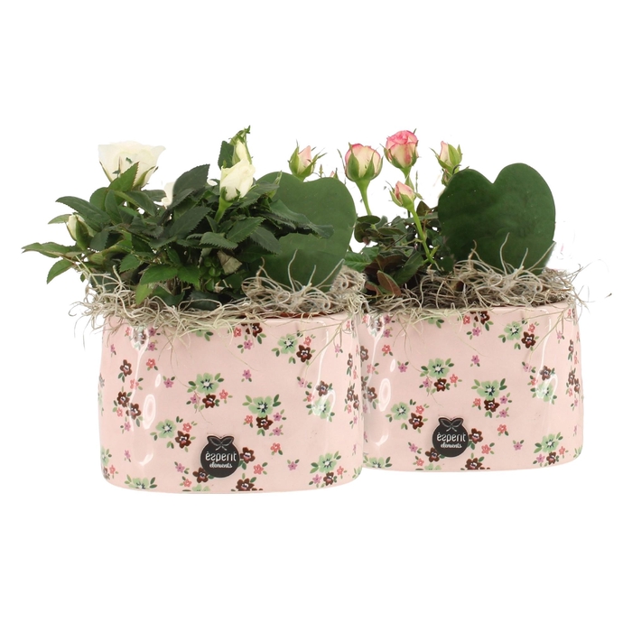 <h4>21651: Lovess arrangement</h4>