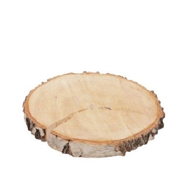 <h4>Dried articles Woodslice birch d21cm</h4>