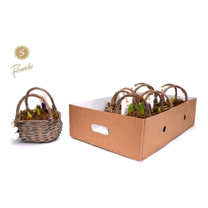 (3701) Hyacint Basket with Handle 3PP Mos