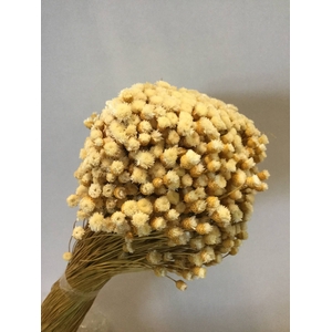 DRIED FLOWERS - HAPPY FLOWER NATURAL 150GR
