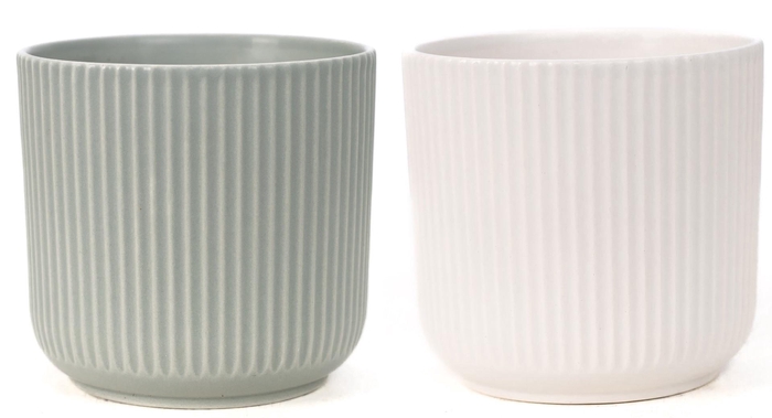 <h4>P&PURE Sophie ceramics 2 ass</h4>