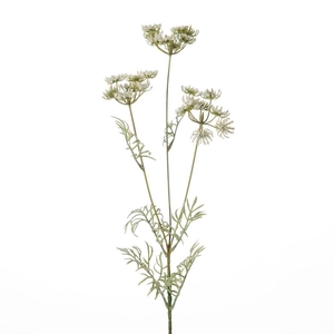 AF Anethum x3 L82cm White