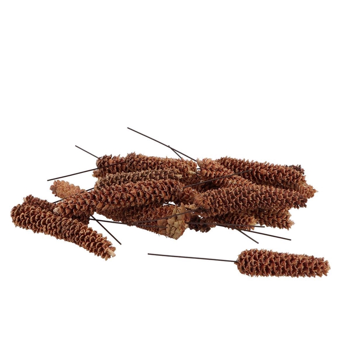 <h4>Pick Nature Grated Fine Fir P/90</h4>