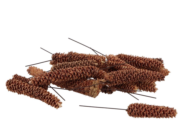 Pick Nature Grated Fine Fir P/90